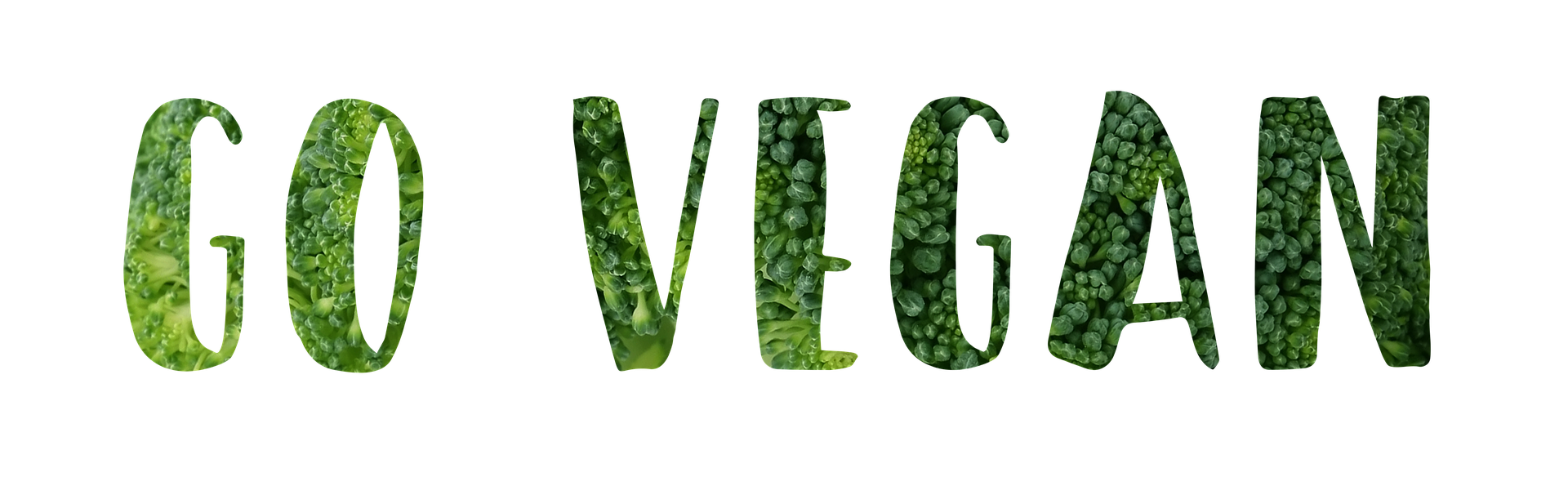 Vegan banner
